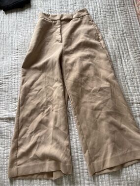 Zara Beige Wide-Leg Chinos
